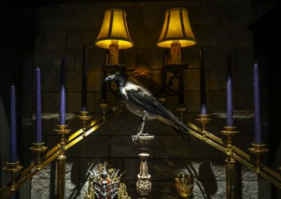 chamber of raven -8
