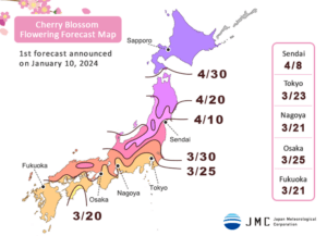 Prévision de floraison des Sakura au Japon en 2024